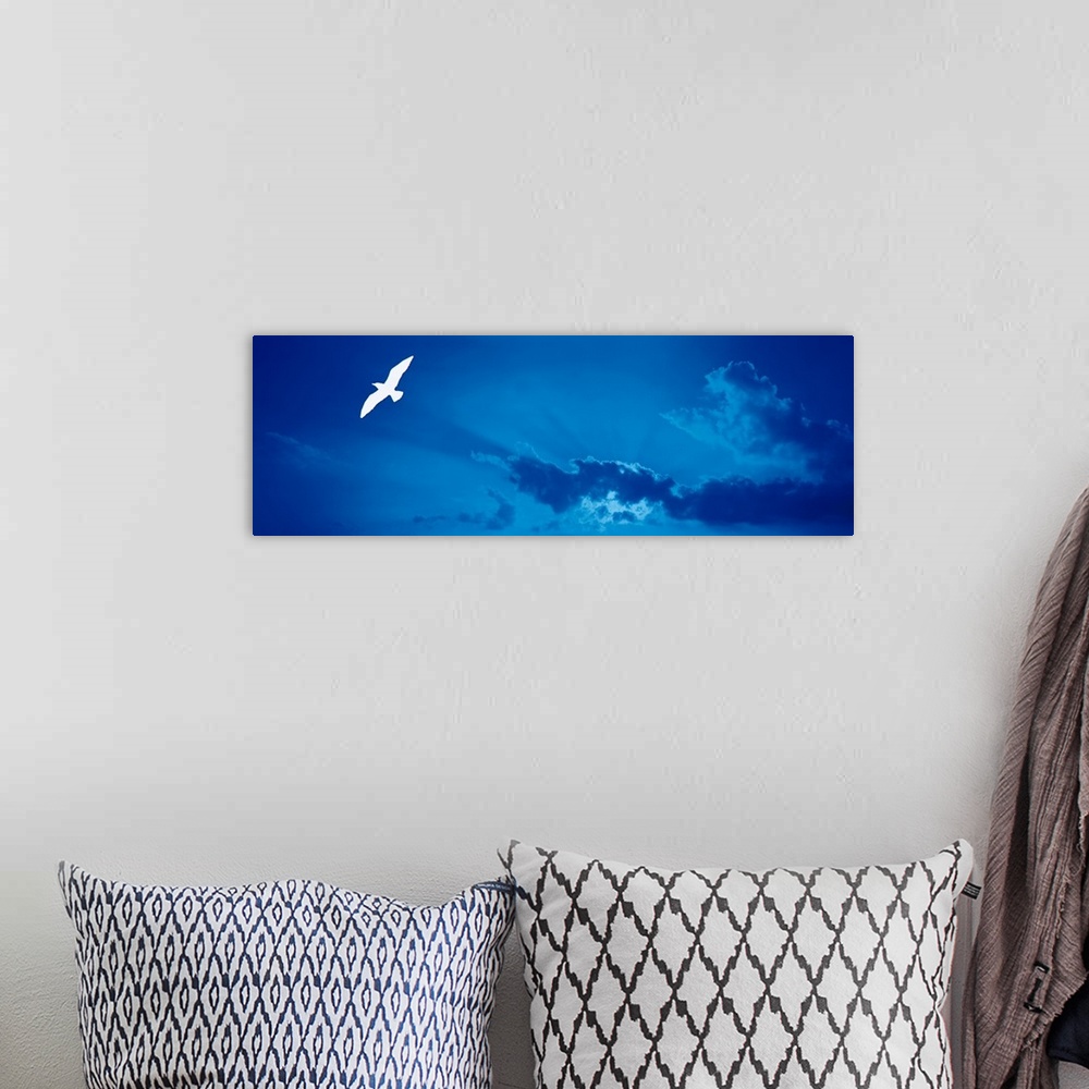 A bohemian room featuring Seagull flying in the sky