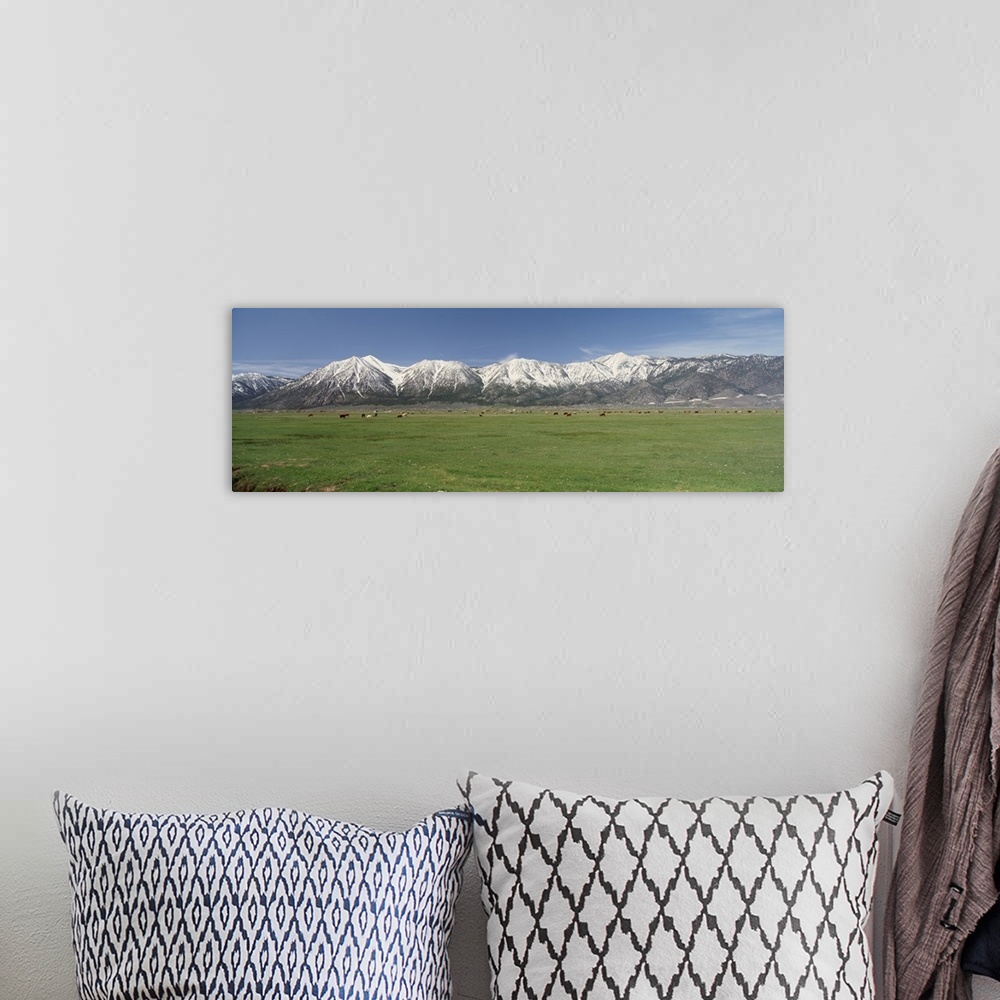 A bohemian room featuring Sierra Nevada Range NV