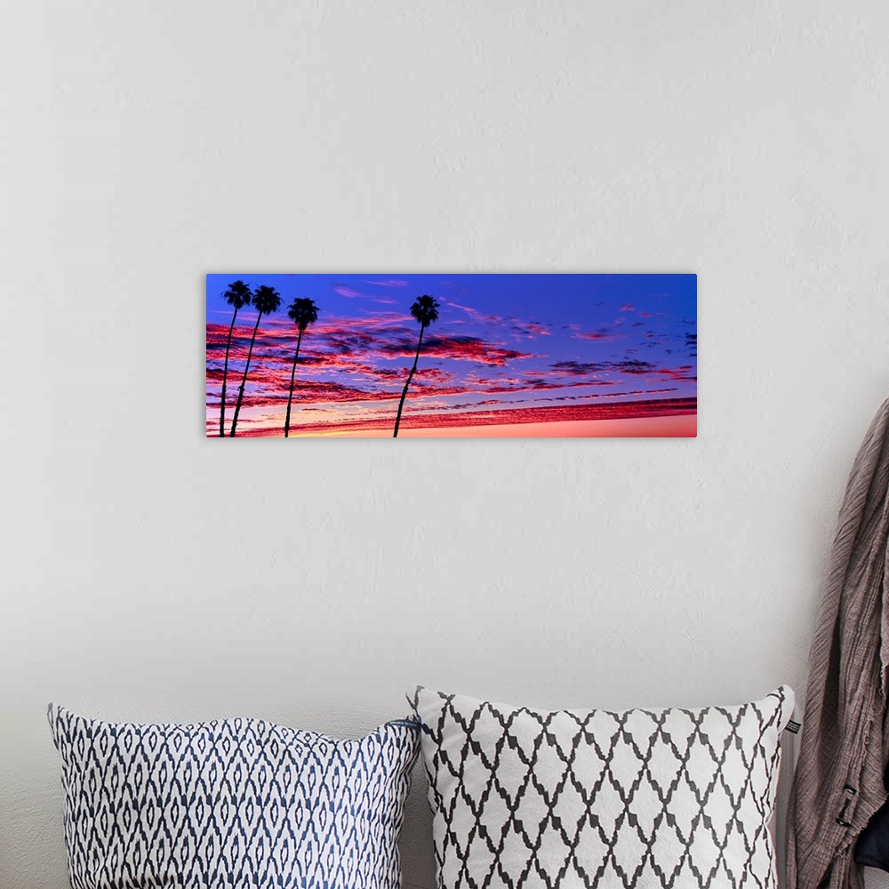 A bohemian room featuring Silhouette of palm trees at sunrise, Santa Barbara, California, USA.