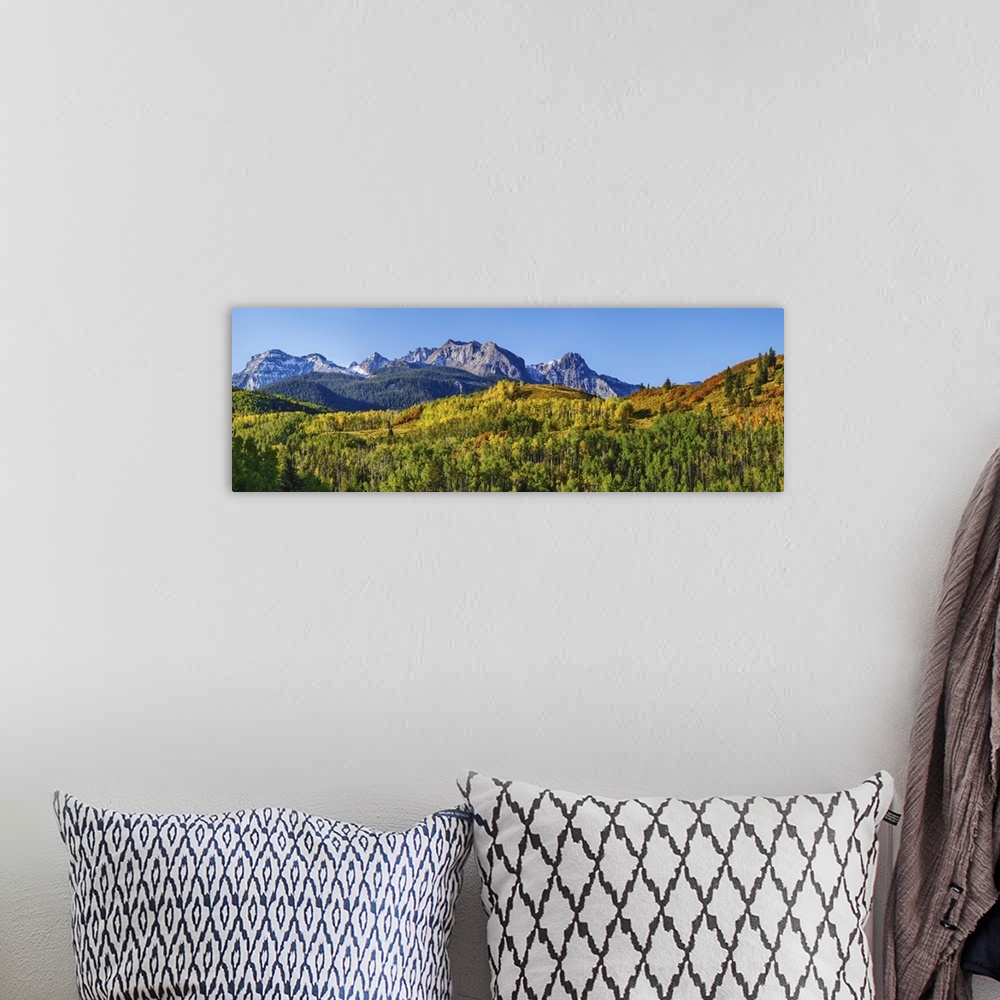 A bohemian room featuring Uncompahgre National Forest, Colorado