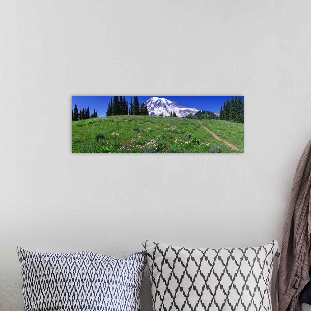 A bohemian room featuring Washington, Mount Rainier, meadow