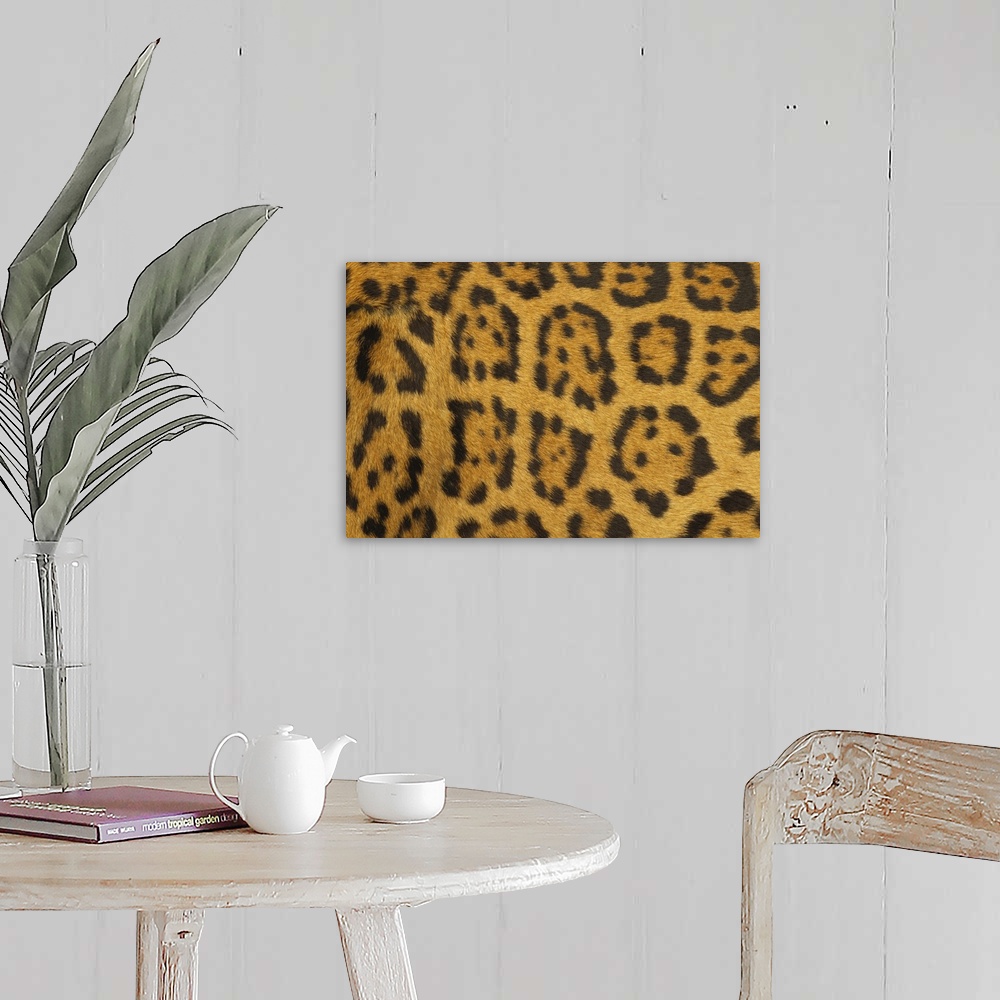 Leopard Fur Wall Art, Canvas Prints, Framed Prints, Wall Peels | Great ...