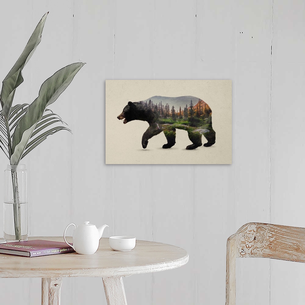 The North American Black Bear Wall Art, Canvas Prints, Framed Prints ...