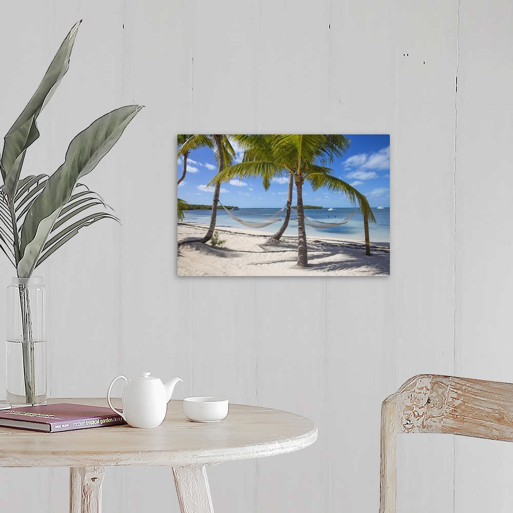 Bahamas, Abaco Islands, Great Guana Cay, Sunset beach Wall Art, Canvas ...