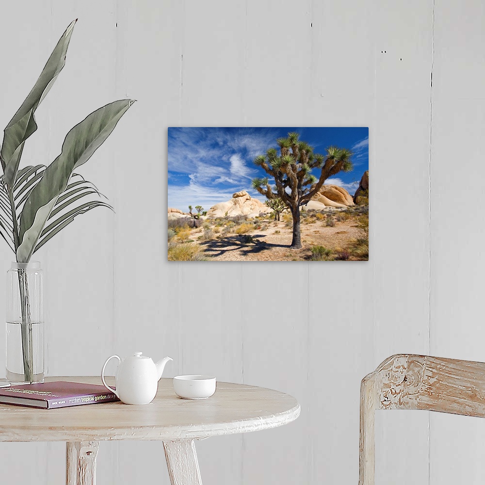 Joshua Tree With Shadow Wall Art, Canvas Prints, Framed Prints, Wall ...