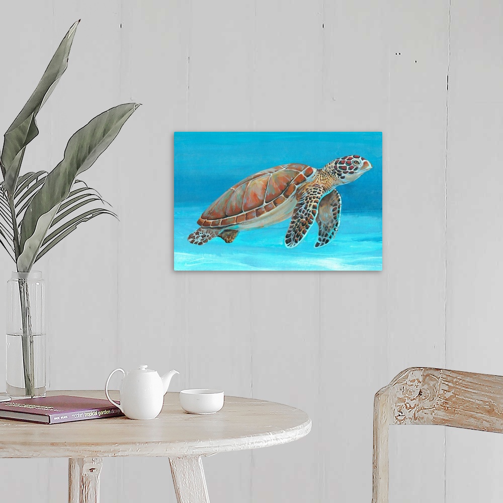 Ocean Sea Turtle I Wall Art, Canvas Prints, Framed Prints, Wall Peels ...