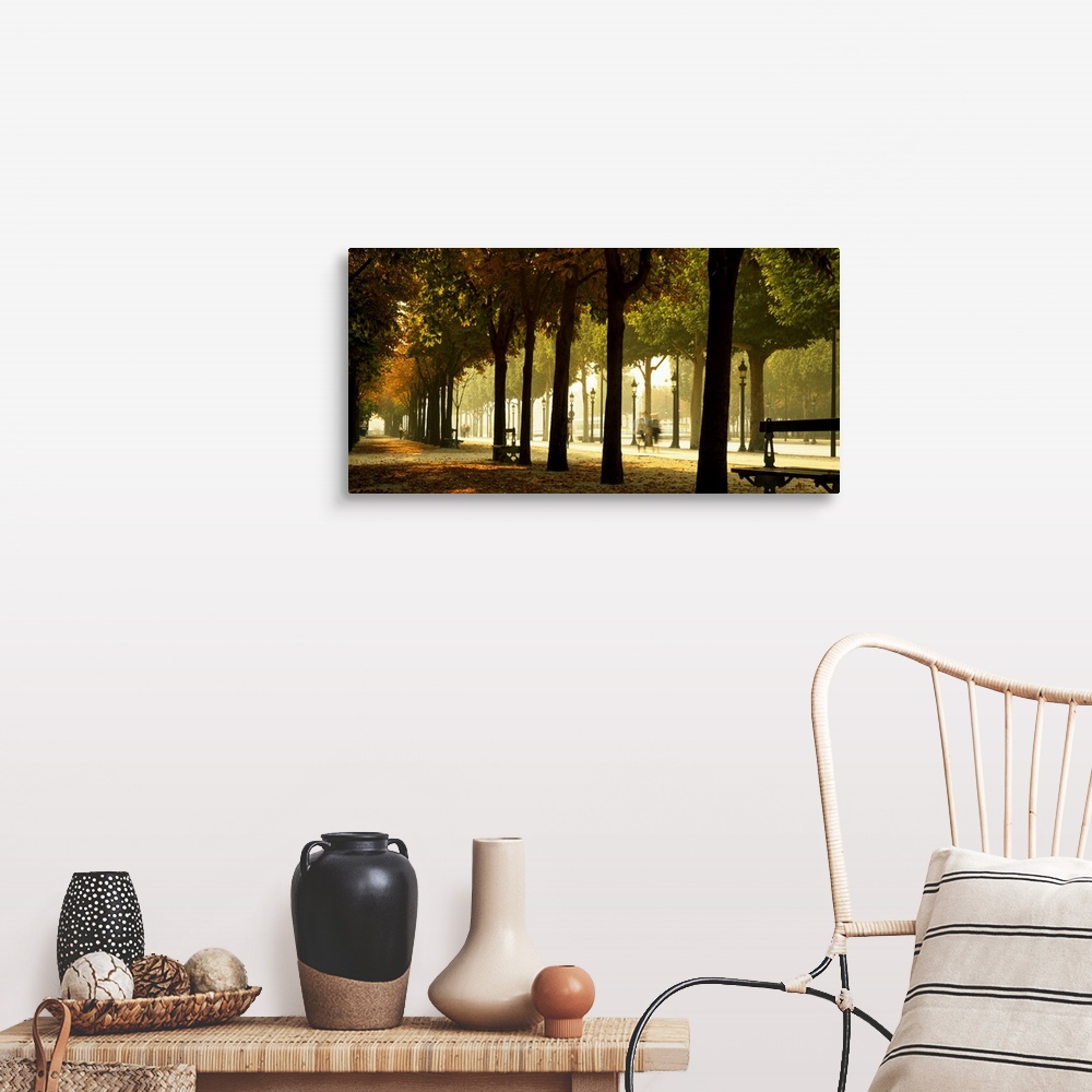 Trees On Both Sides Of A Walkway Champs Elysees Paris France Wall Art Canvas Prints Framed