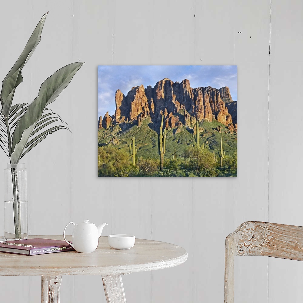 Saguaro cacti and Superstition Mountains, Lost Dutchman State Park ...