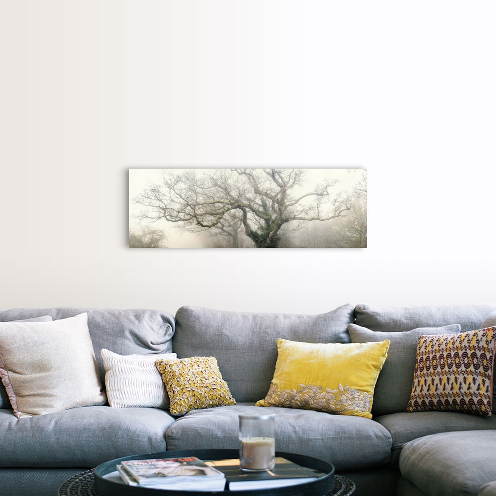 panoramic octopus ghost oak Wall Art, Canvas Prints, Framed Prints ...