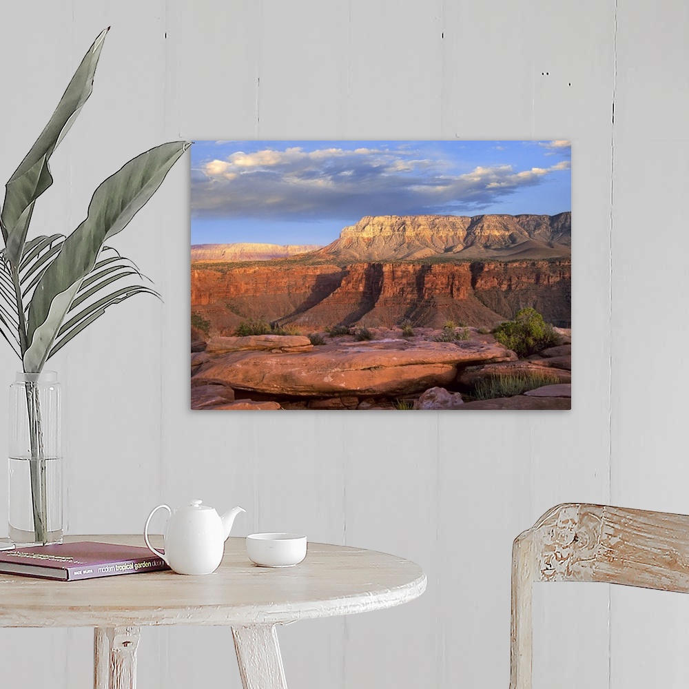 Aubrey Cliffs from Toroweap Overlook, Grand Canyon National Park ...