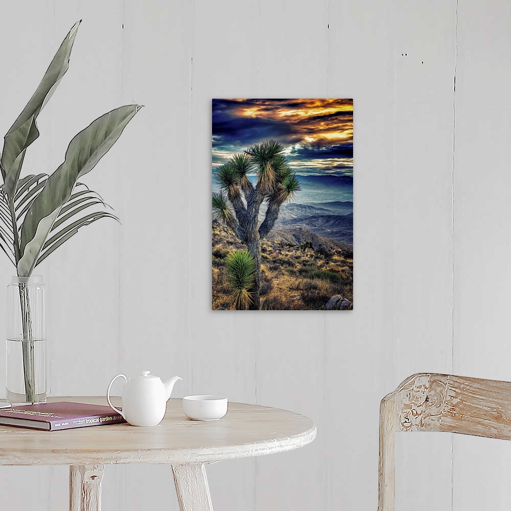 Joshua Tree Sunset Wall Art, Canvas Prints, Framed Prints, Wall Peels ...