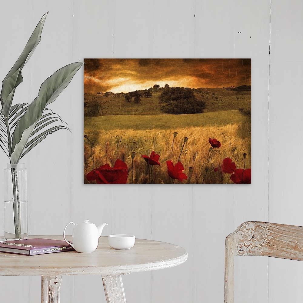 Italian countryside with red poppies Wall Art, Canvas Prints, Framed ...