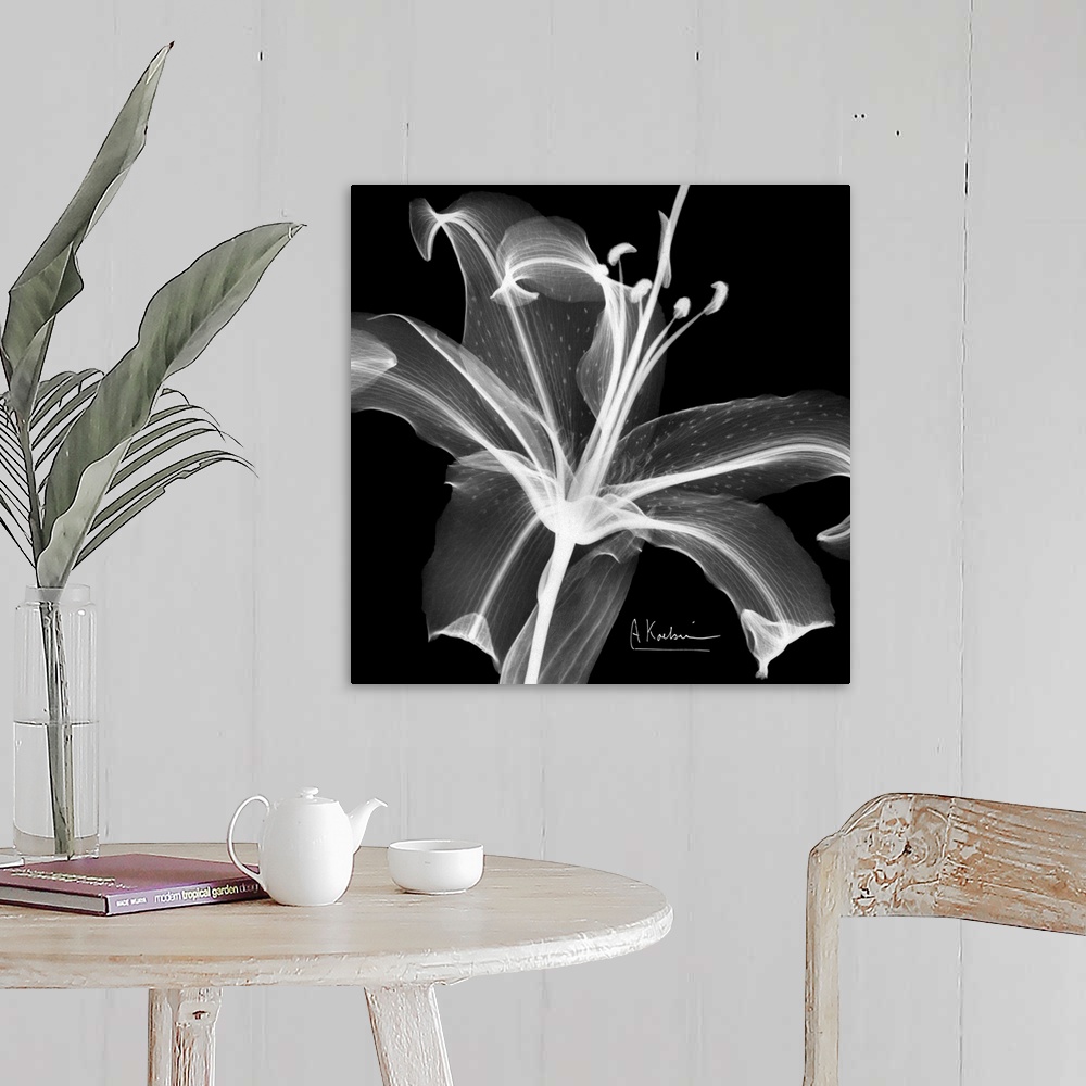 Asiatic Lily x-ray floral photograph Wall Art, Canvas Prints, Framed ...
