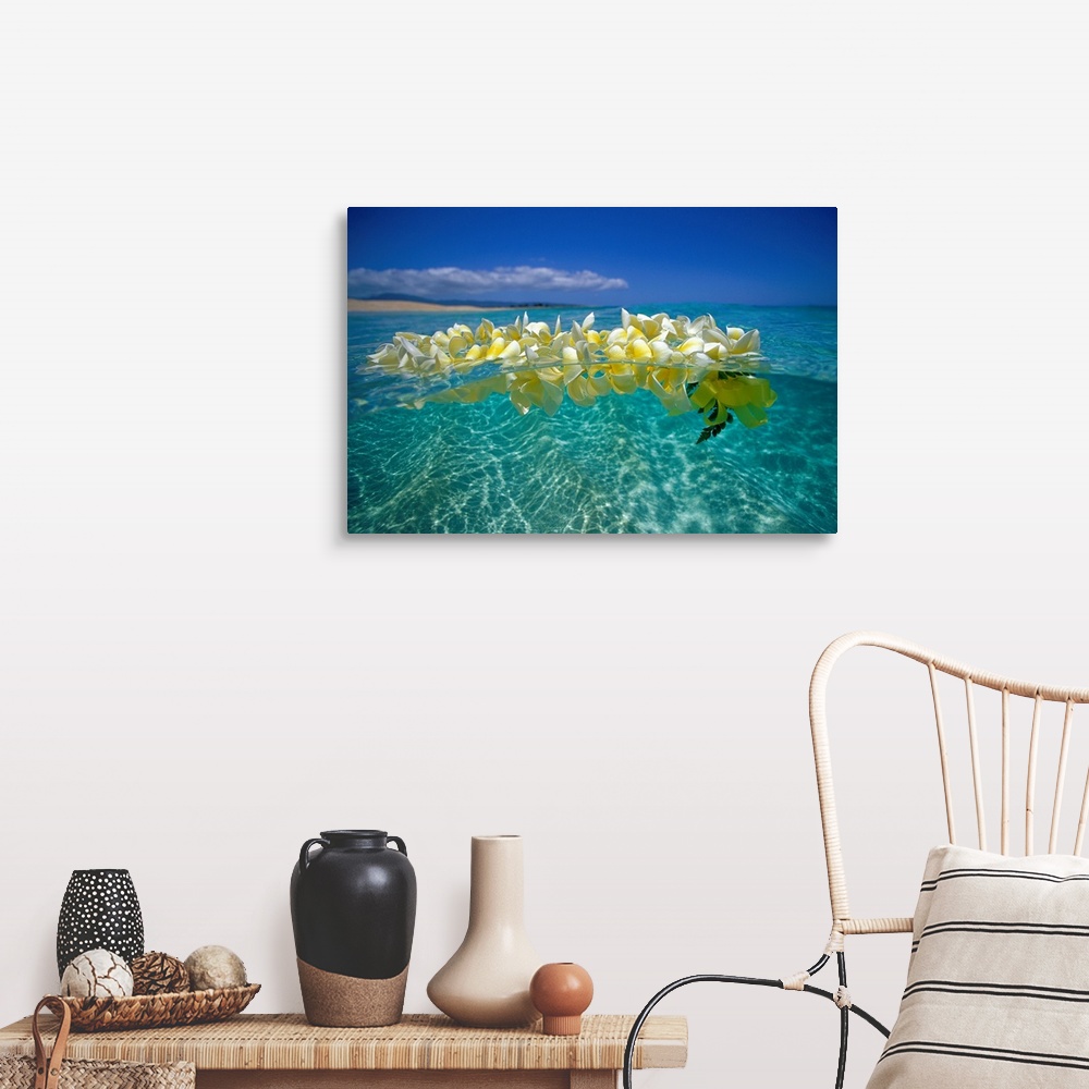 Plumeria Lei Floating On Ocean Surface Wall Art, Canvas Prints, Framed ...