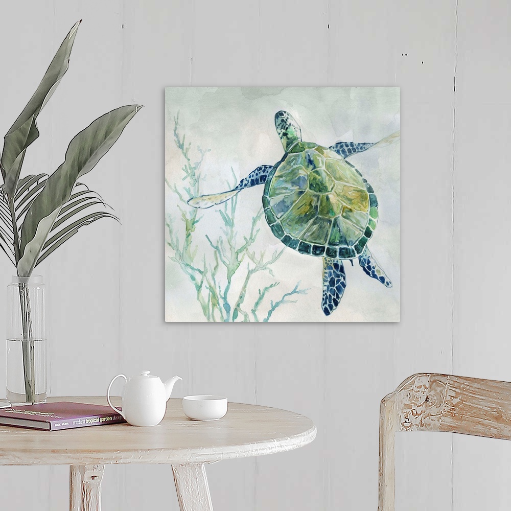 Seaglass Turtle II Wall Art, Canvas Prints, Framed Prints, Wall Peels ...