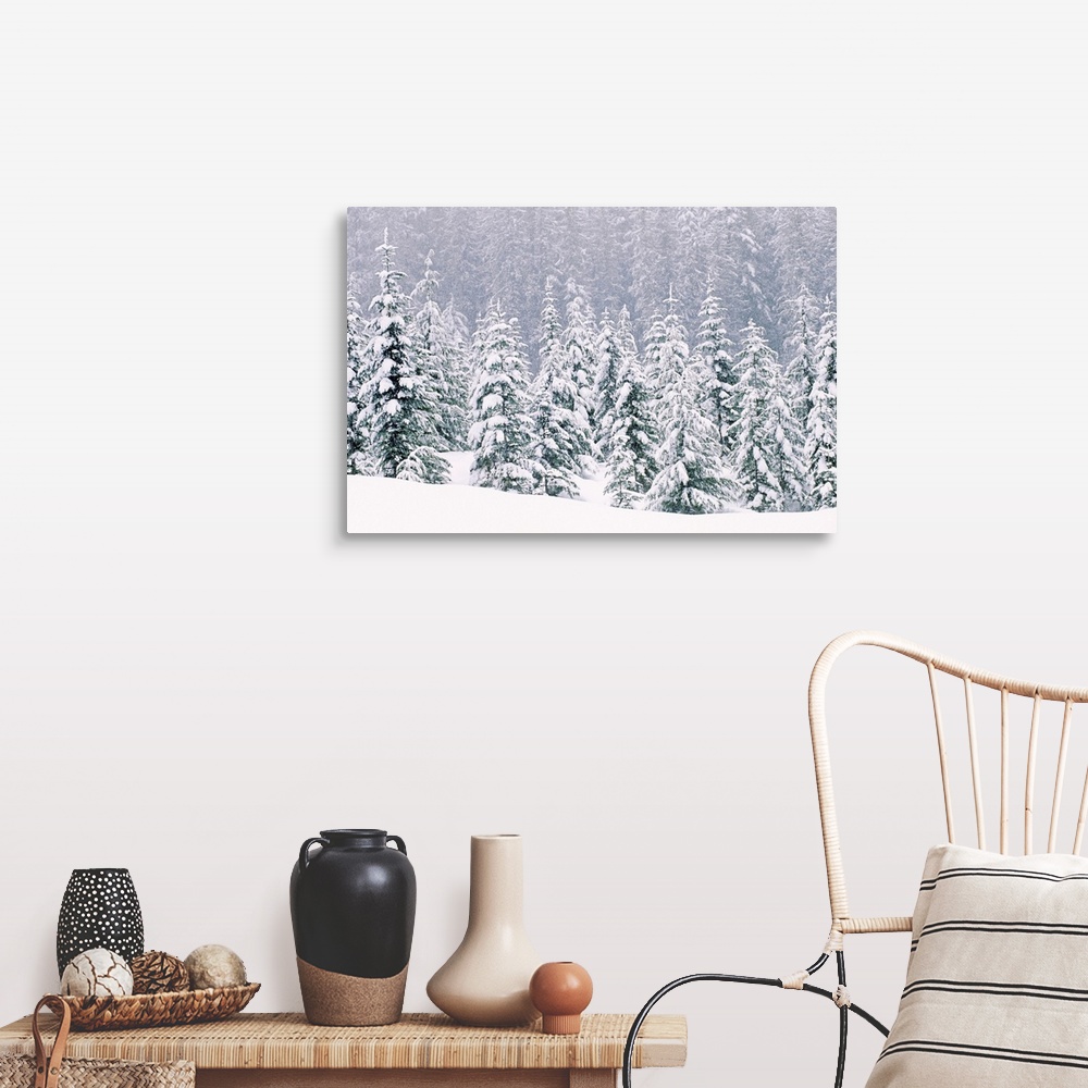 Snow covered pine trees Wall Art, Canvas Prints, Framed Prints, Wall ...