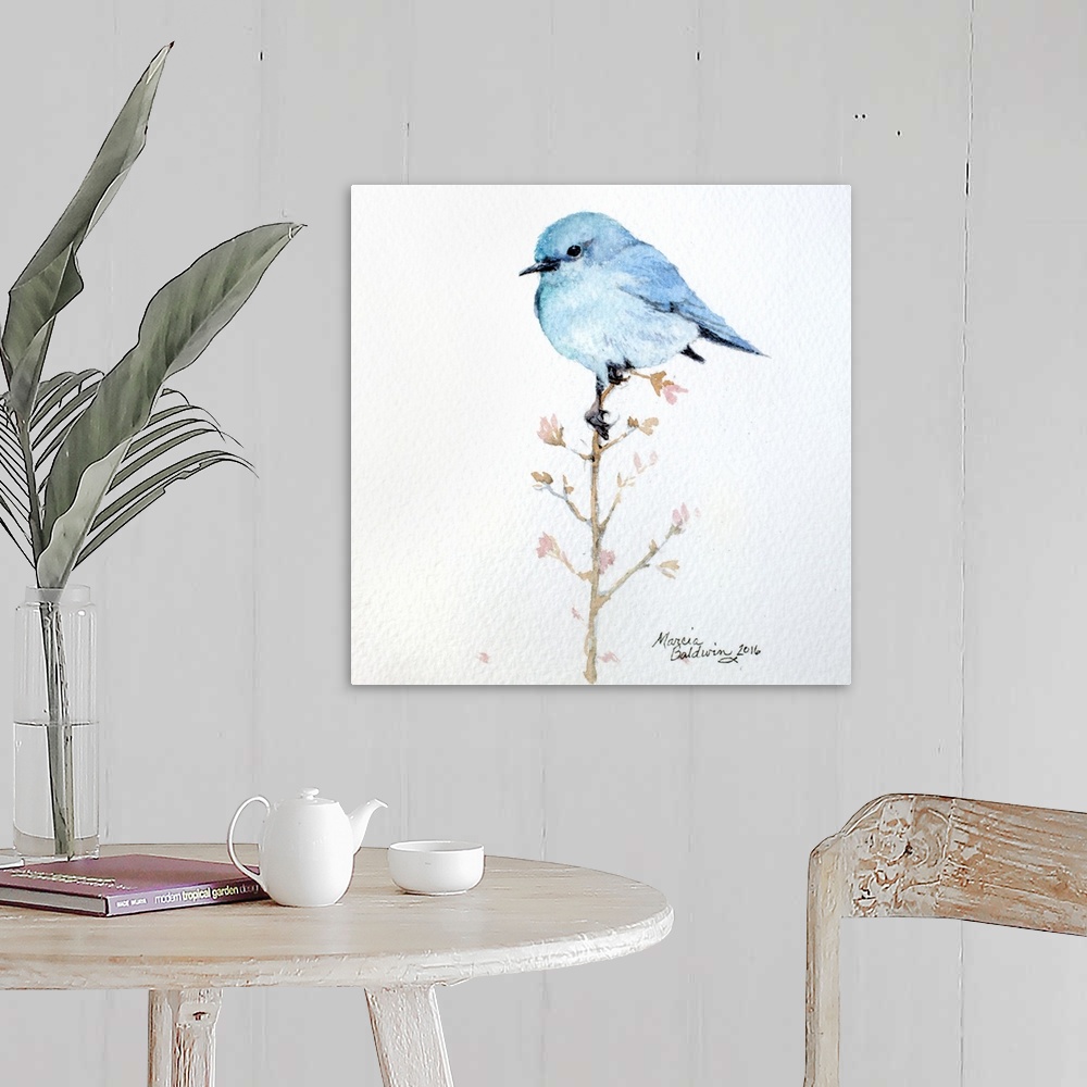 Bluebird Perched 5X5 Wall Art, Canvas Prints, Framed Prints, Wall Peels ...