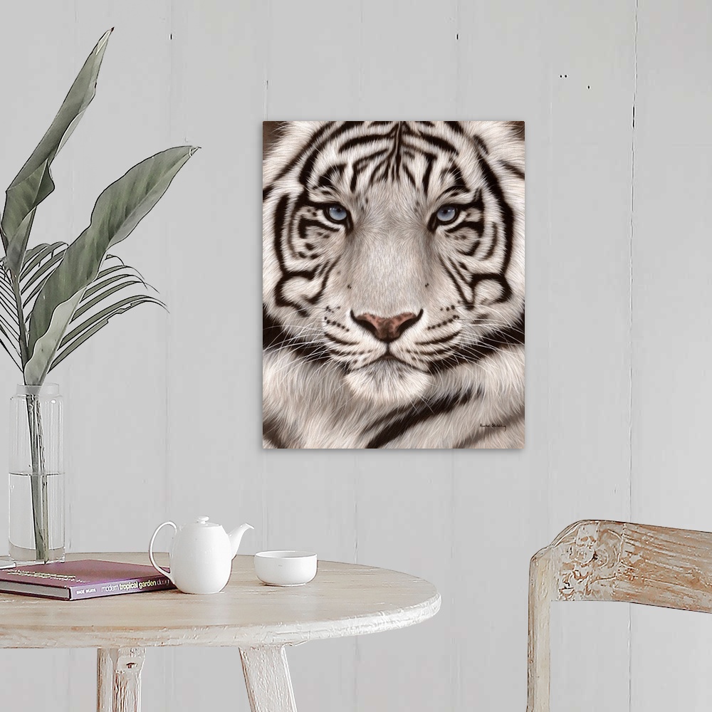 White Tiger Face Portrait Wall Art, Canvas Prints, Framed Prints, Wall ...