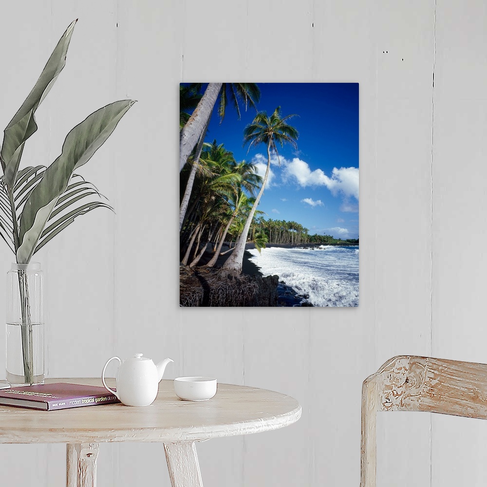 Palm trees on the black sand beach, Hawaii Wall Art, Canvas Prints ...