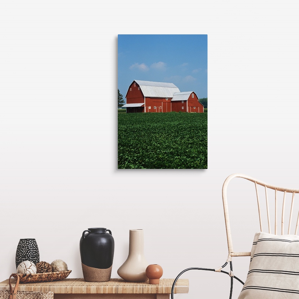 Barn and Corn Field Wall Art, Canvas Prints, Framed Prints, Wall Peels ...