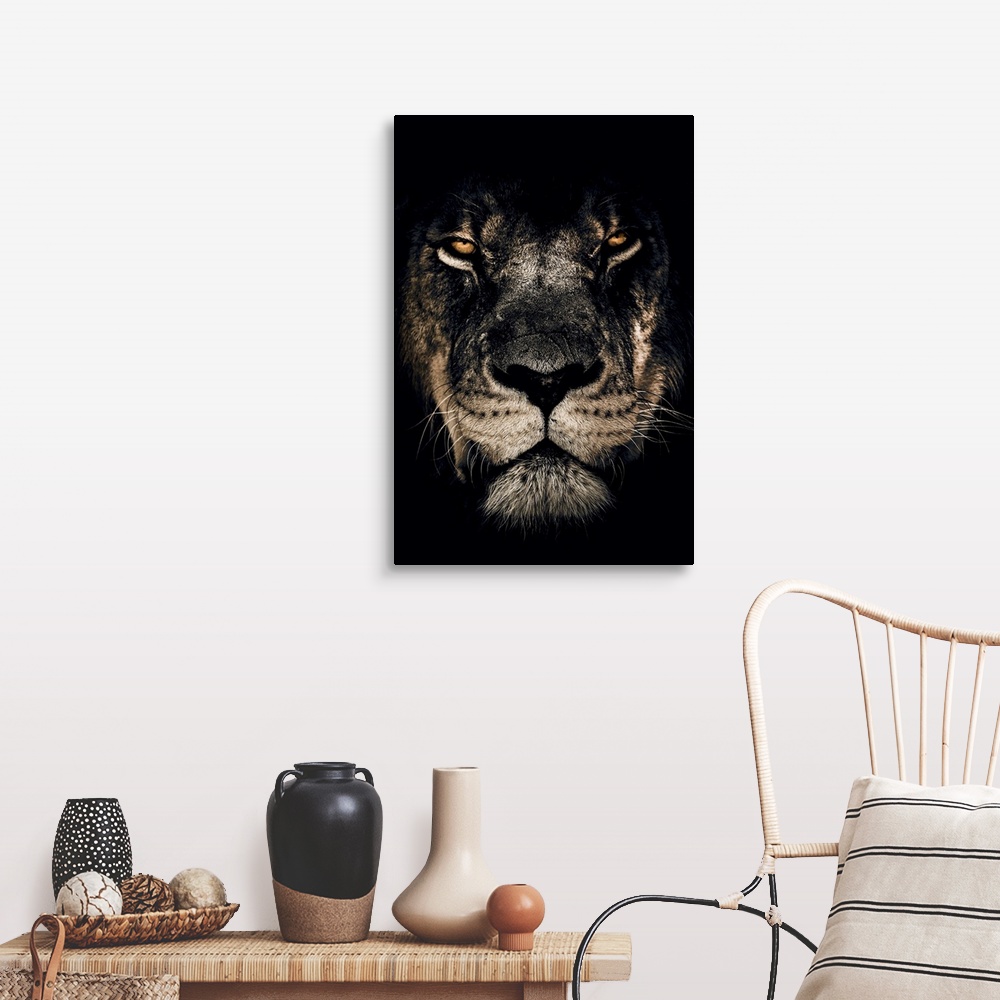 Dark Lion Closeup Wall Art, Canvas Prints, Framed Prints, Wall Peels ...
