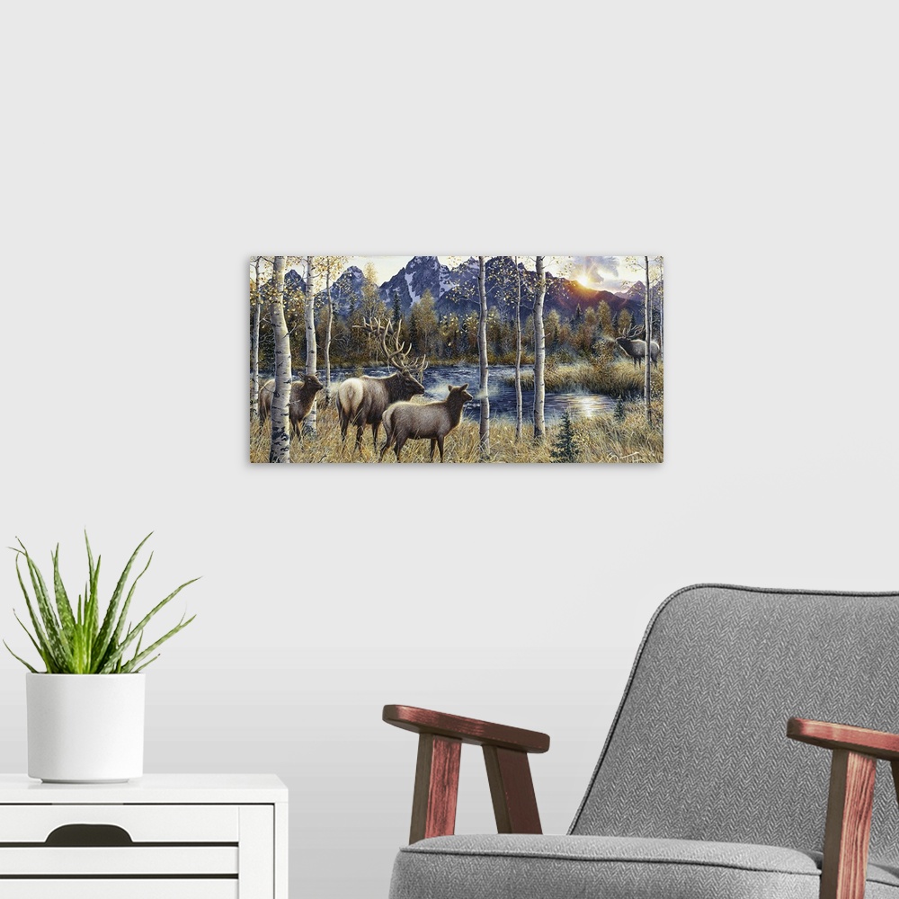A modern room featuring 3 elk on  one side of the swamp and a bull  on the  other side, the Tetons in the background