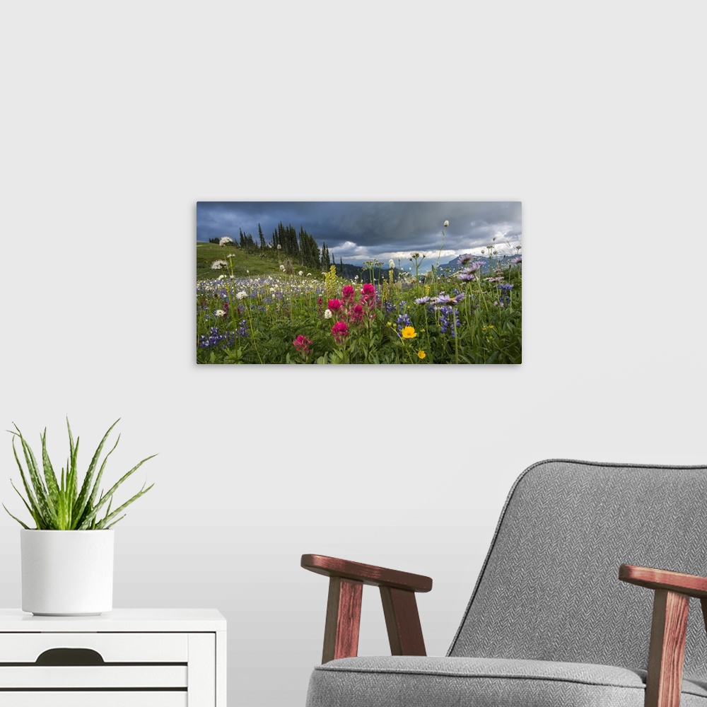 A modern room featuring USA, Washington State, Mount Rainier National Park. Wildflowers carpeting edge of Paradise hiking...