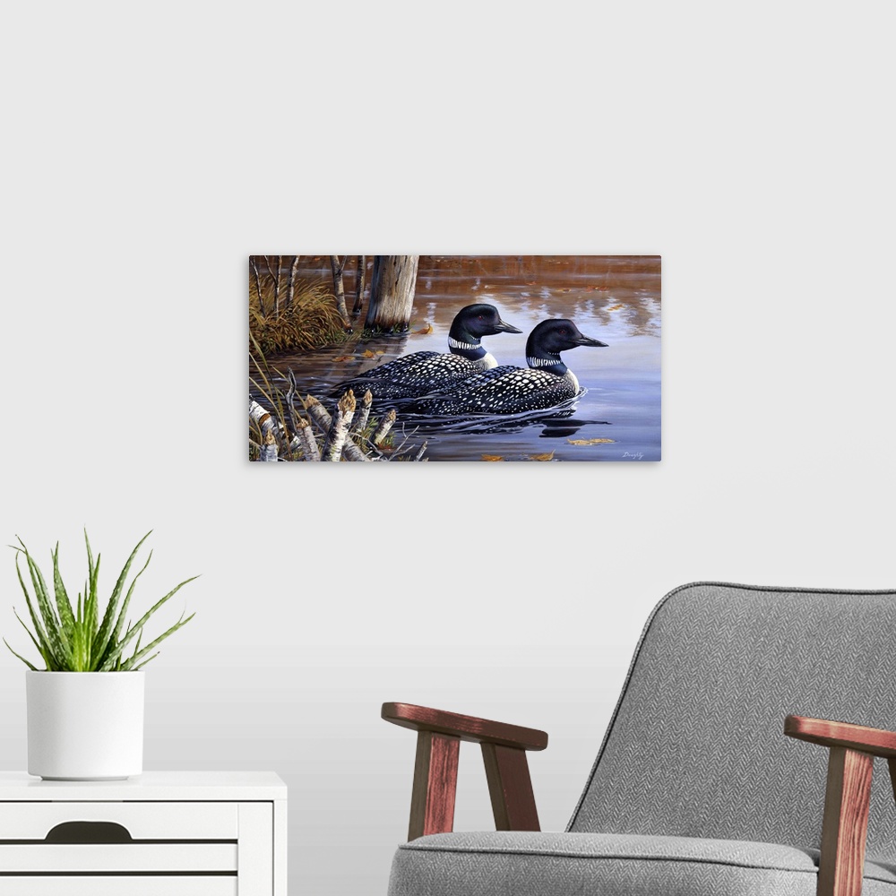 A modern room featuring A pair of loons swimming on the water.