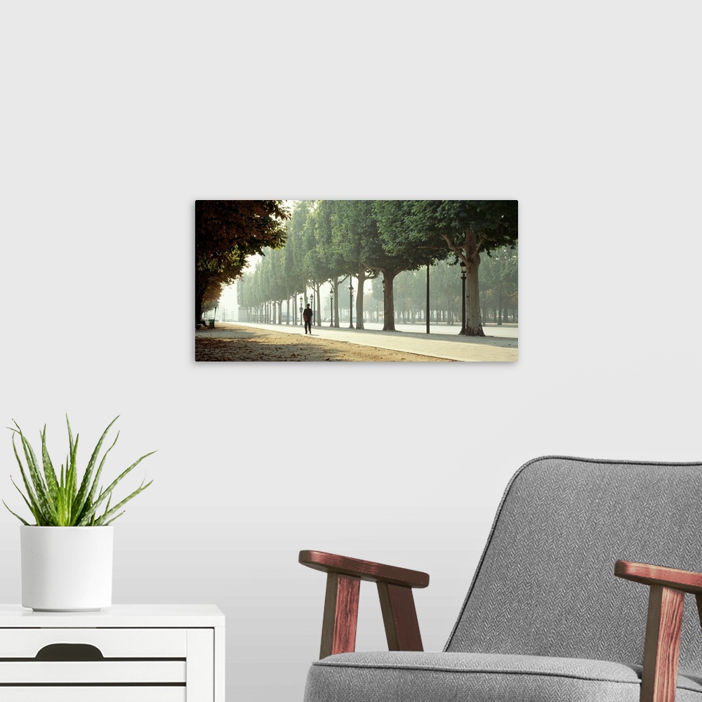 A modern room featuring Panoramic image of a man walking through a park in Paris with trees lined along the pathway.