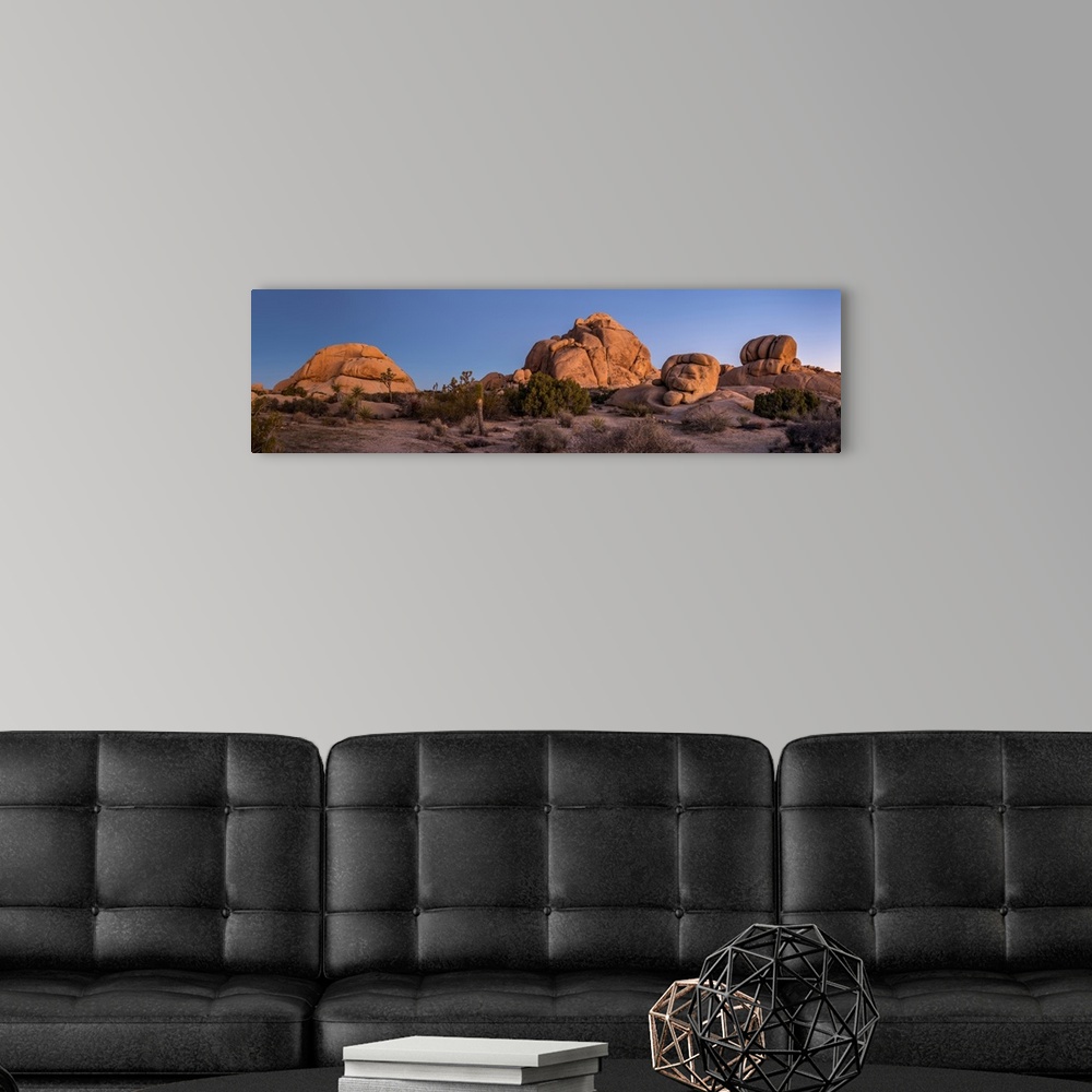 A modern room featuring Rock formations on landscape with Juniper and Joshua Trees, Joshua Tree National Park, California...