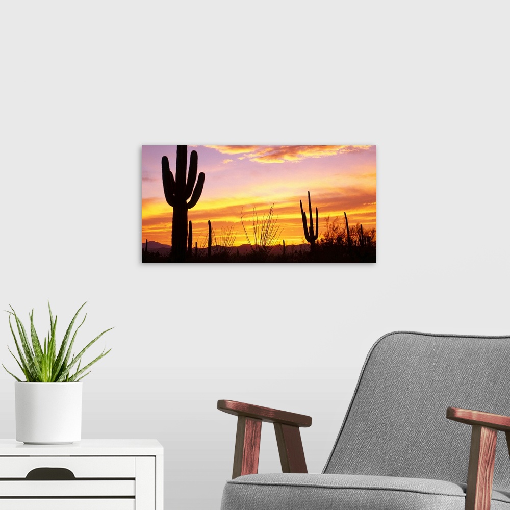A modern room featuring Cacti silhouetted against the evening sky and clouds.