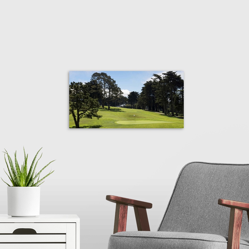 A modern room featuring Trees in a golf course, Presidio Golf Course, San Francisco, California