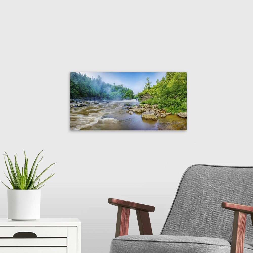 A modern room featuring Youghiogheny River, Swallow Falls State Park, Garrett County, Maryland