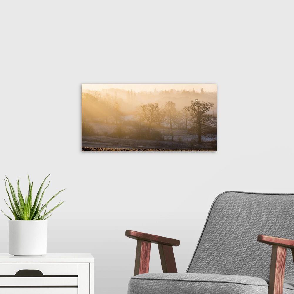 A modern room featuring Winter trees in misty panorama, Surrey, England