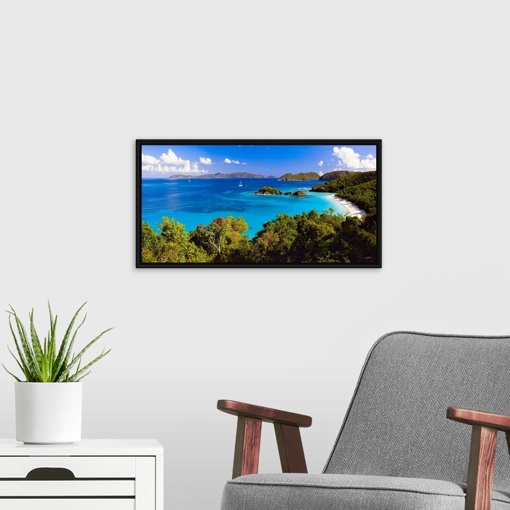 A modern room featuring Panoramic photograph of cove with water on left and tree lined beach on right.  There are vegetat...