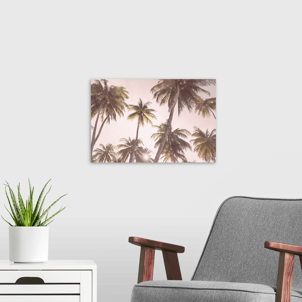 A modern room featuring Blush Palm Trees