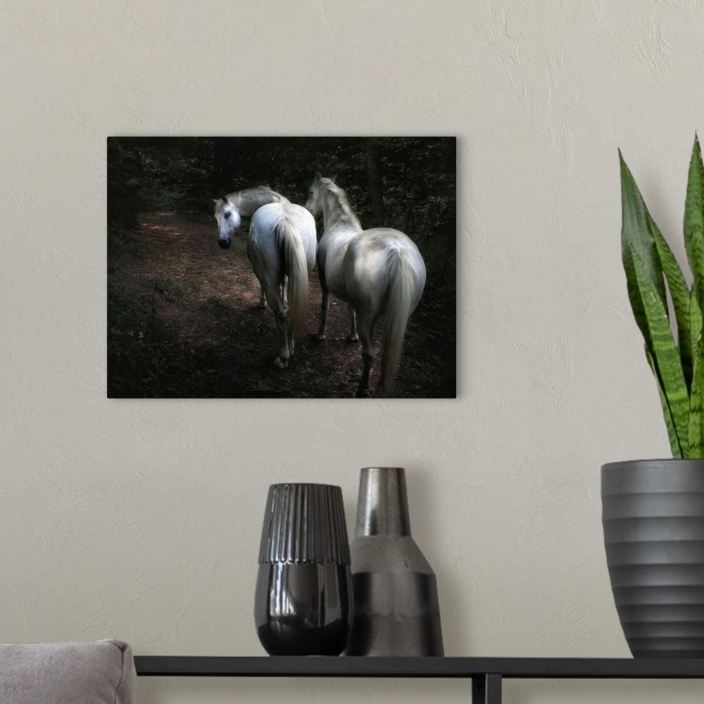 A modern room featuring Two white horses walking in a forest, one turning its head to look behind.