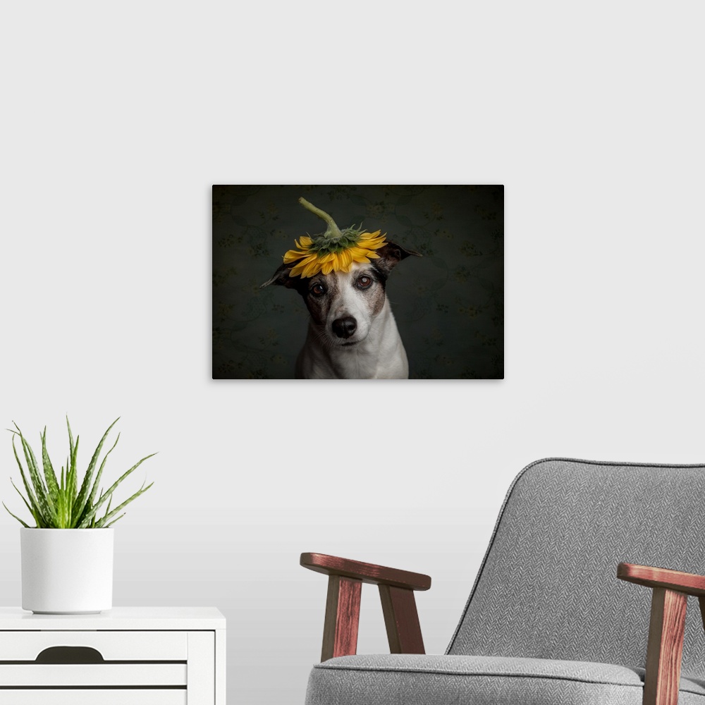 A modern room featuring Does She Realize She Looks Like A Sunflower