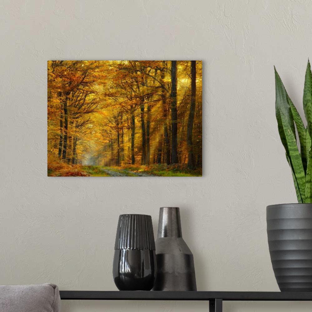 A modern room featuring Golden sunlight shining in a forest in the fall.