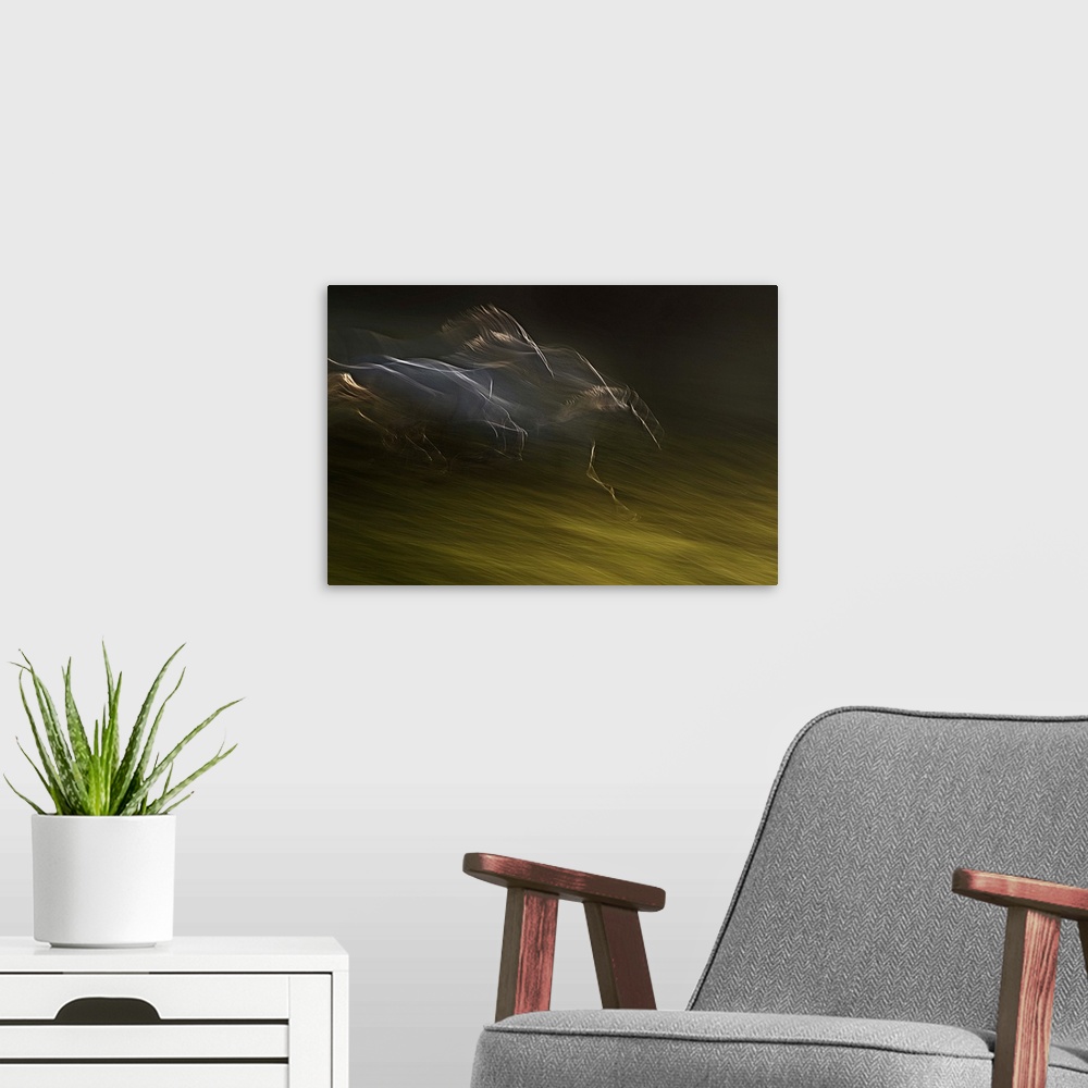 A modern room featuring Blurred motion image of galloping horses in a field, creating an abstract image.