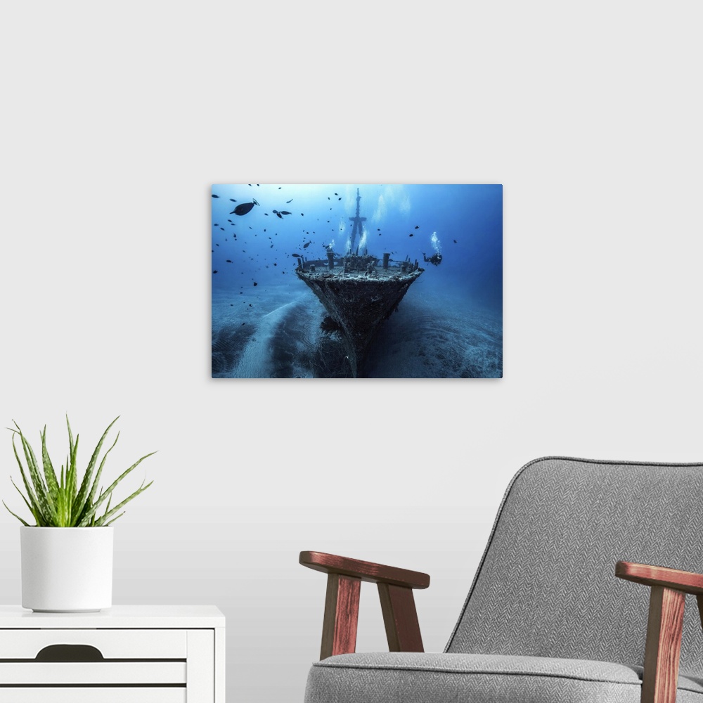 A modern room featuring A diver exploring the a shipwreck at the bottom of the ocean.