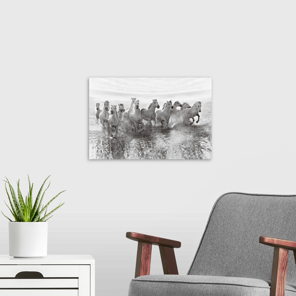 A modern room featuring An intense photograph of a herd of white horses galloping through water.