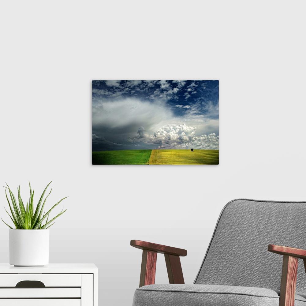 A modern room featuring A tiny tree in a yellow field with dramatic clouds in the blue sky above.
