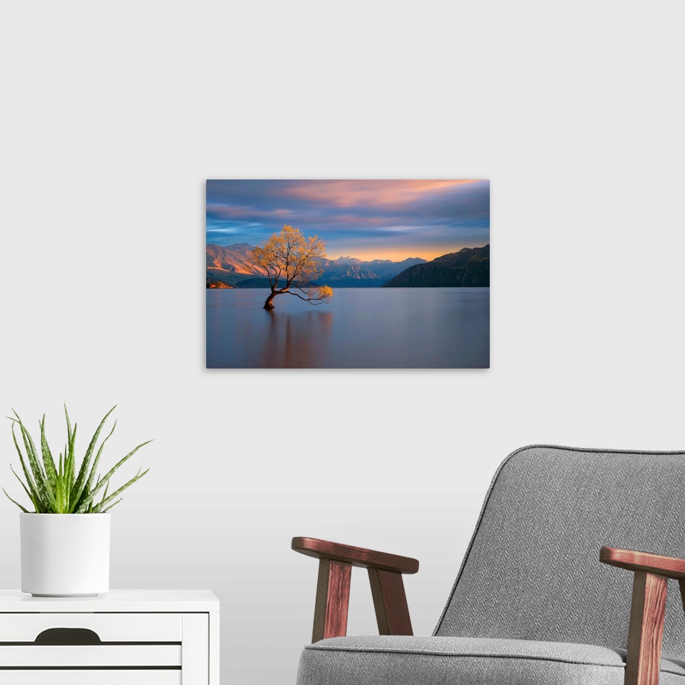 A modern room featuring Landscape photograph of calm water and mountains with a yellow leafed tree at sunrise in Wanaka, ...