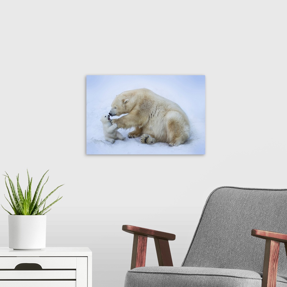 A modern room featuring Polar Bear With Mom