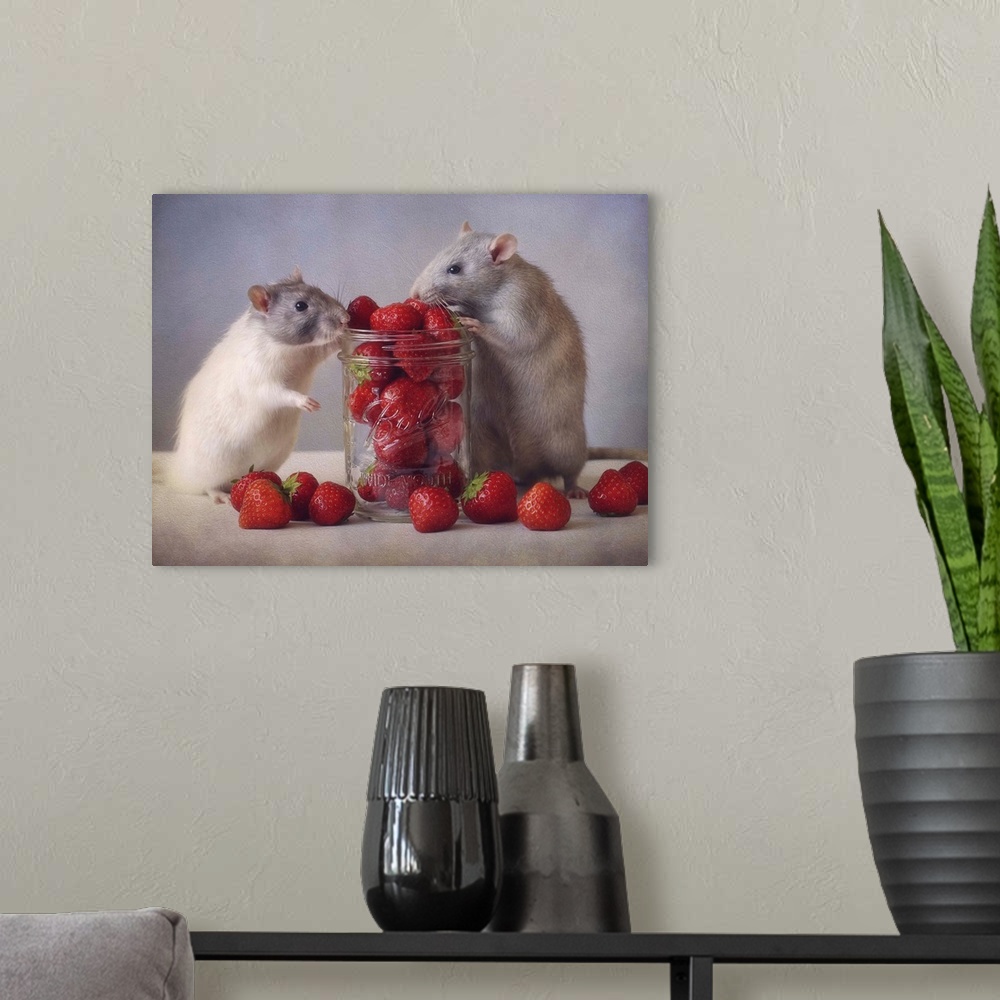 A modern room featuring Strawberries