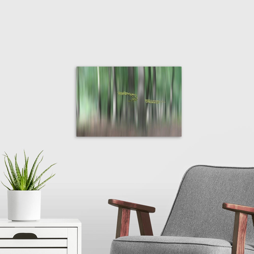 A modern room featuring Blurred motion image of a forest in the Netherlands.