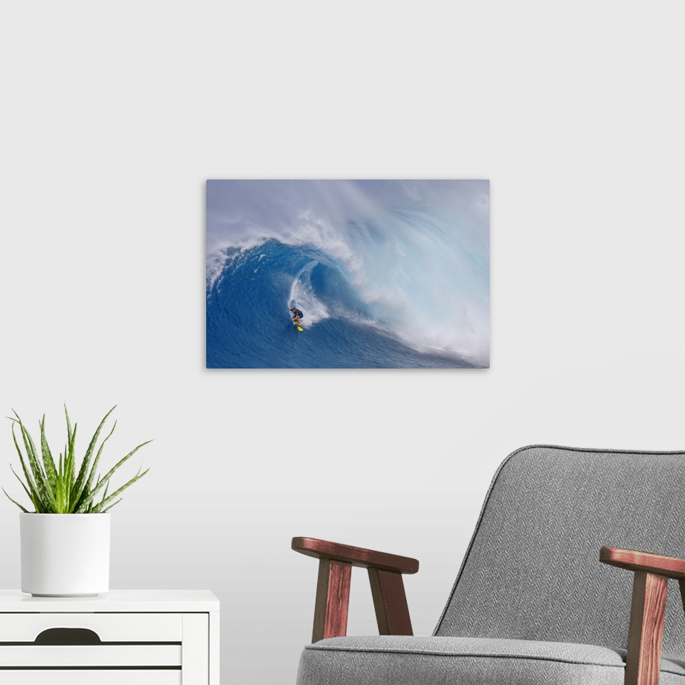 A modern room featuring Surfing Jaws