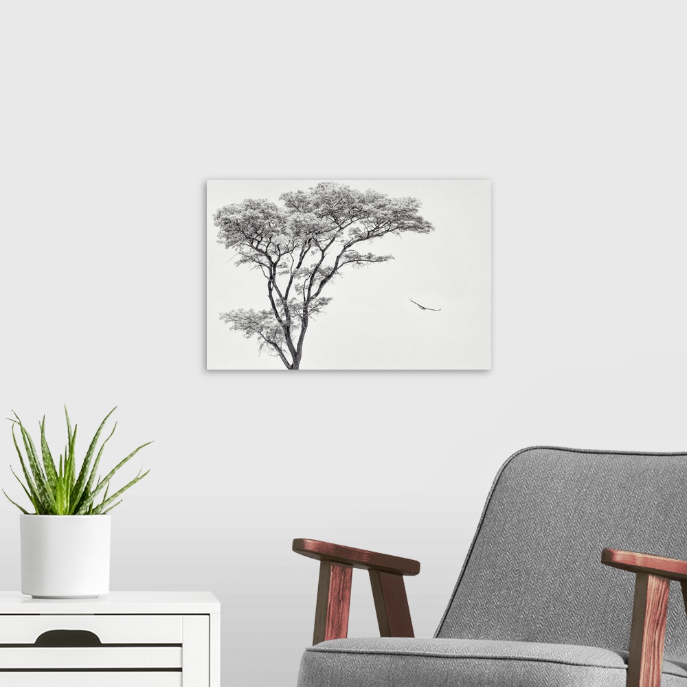 A modern room featuring The African Eagle