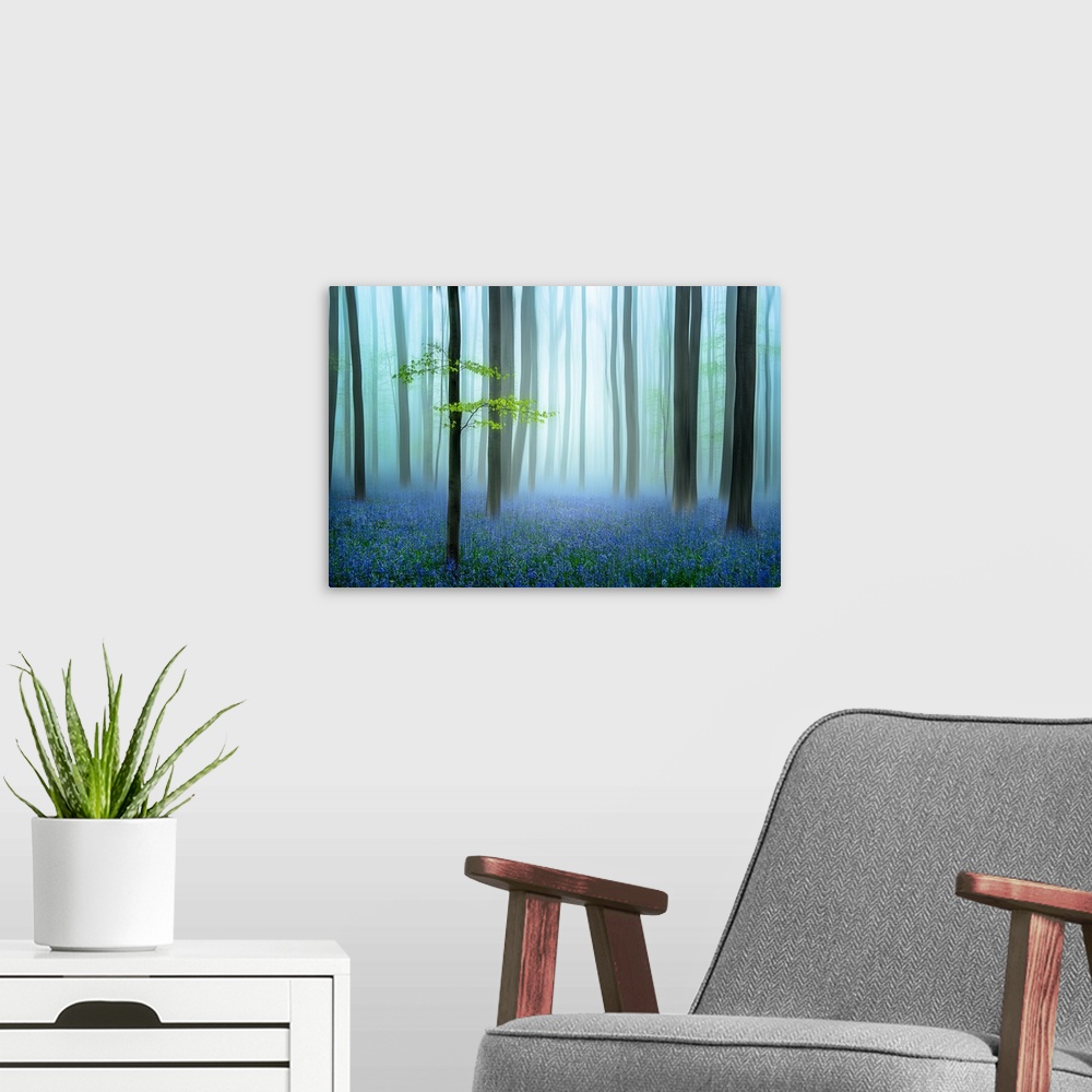 A modern room featuring The Blue Forest